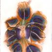 'Wild Orchid'